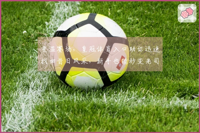 重温赛场，皇冠体育入口助你迅速找回昔日风采，新手也能秒变老司机