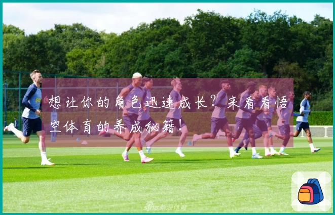 想让你的角色迅速成长？来看看悟空体育的养成秘籍！