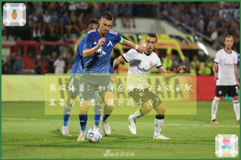 熊猫体育：如何在游戏中高效获取装备与资源，提升战斗力？