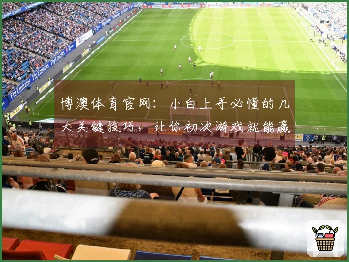 博澳体育官网：小白上手必懂的几大关键技巧，让你初次游戏就能赢在起跑线